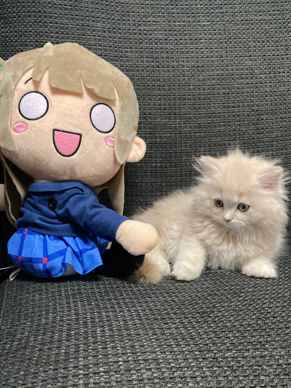 店長兼永久No1☆彡「麻生ことり」