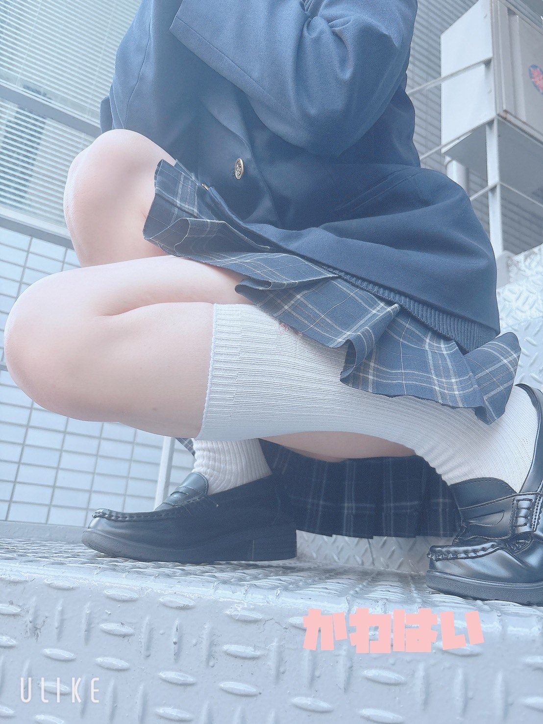 ふぇあれでぃ写真7